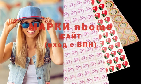 гидра Надым
