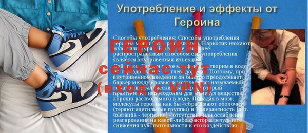 гидра Надым