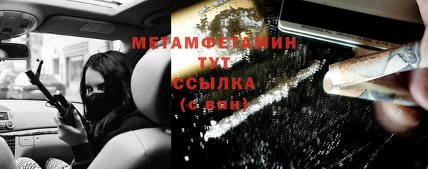гидра Надым