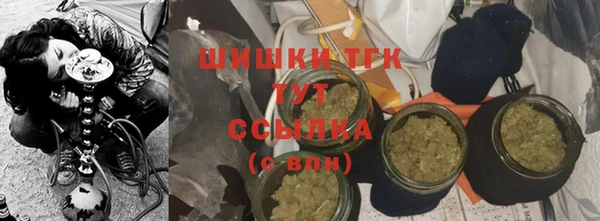 гидра Надым