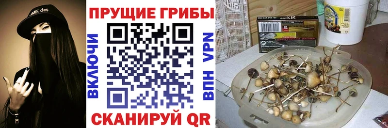Купить закладки  Ханты-Мансийск  Галлюциногенные грибы прущие грибы 